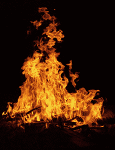 Hammock Campers Campfires