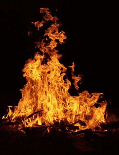 Hammock Campers Campfires